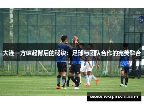 大连一方崛起背后的秘诀：足球与团队合作的完美融合