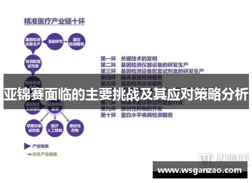 亚锦赛面临的主要挑战及其应对策略分析