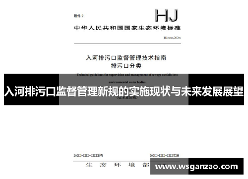 入河排污口监督管理新规的实施现状与未来发展展望