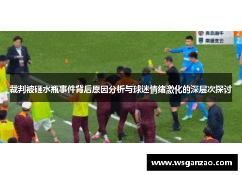 裁判被砸水瓶事件背后原因分析与球迷情绪激化的深层次探讨