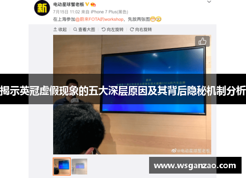 揭示英冠虚假现象的五大深层原因及其背后隐秘机制分析